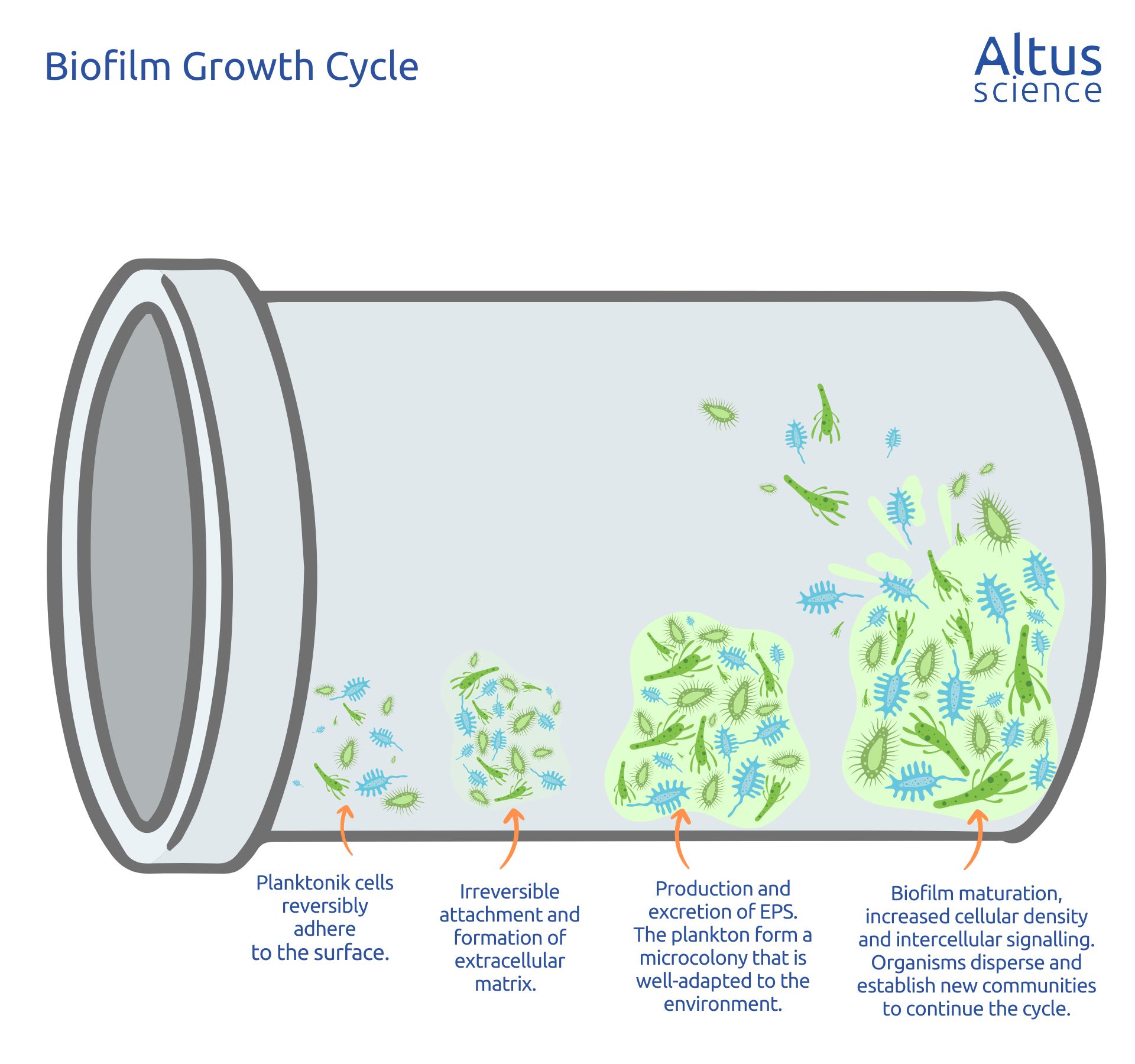 What Is Total Organic Carbon (TOC) in Pharma Water?Altus Science ...